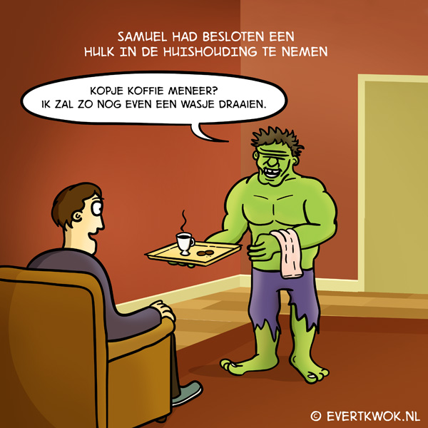 Hulk in de huishouding